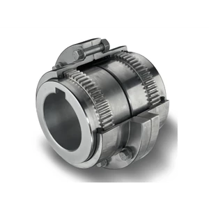 Falk Coupling